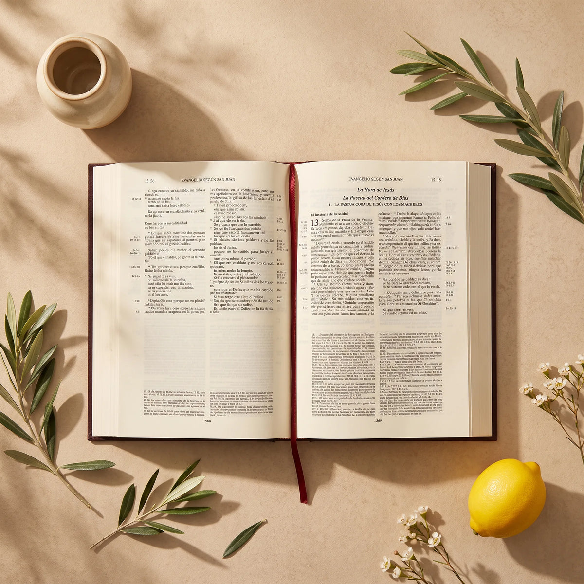 Biblia de Jerusalén — Colección Folio, 4 Tomos, Edición Limitada